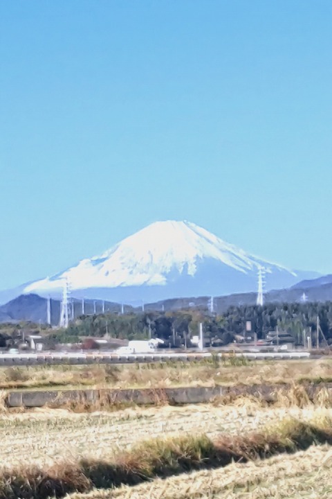 1126　富士山
