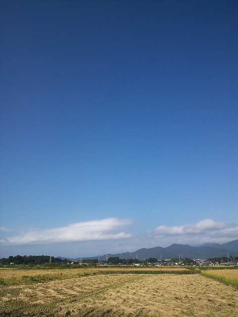 0924　伊勢原朝景色