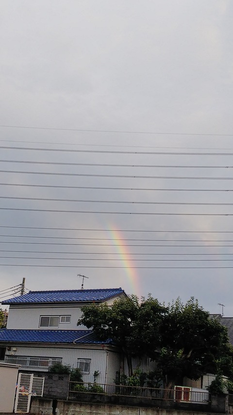 0830 虹