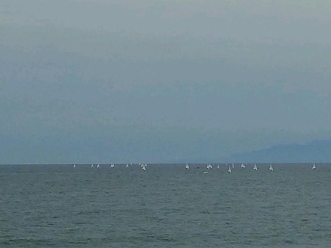 0526　ウィンドサーフィン