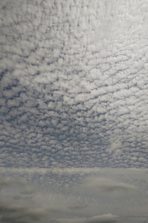 0611　うろこ雲