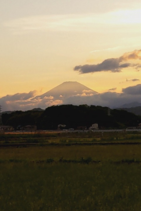 0508 富士山