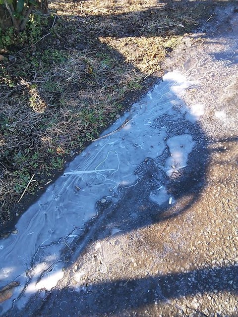 1228　朝水溜り