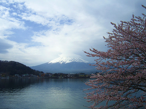 kumori 富士