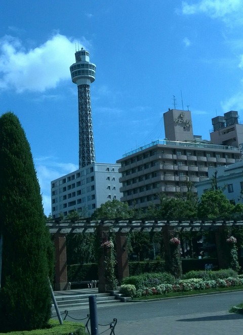 IMG_20150902_135036-1