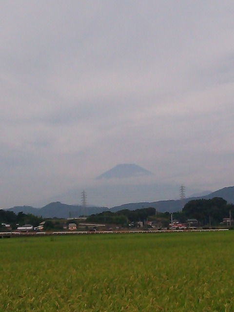 0826　伊勢原朝富士山
