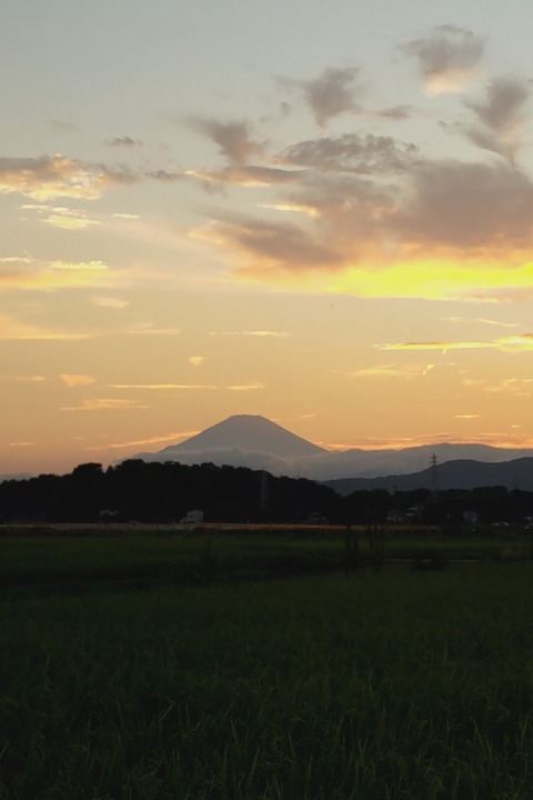 0826 富士山