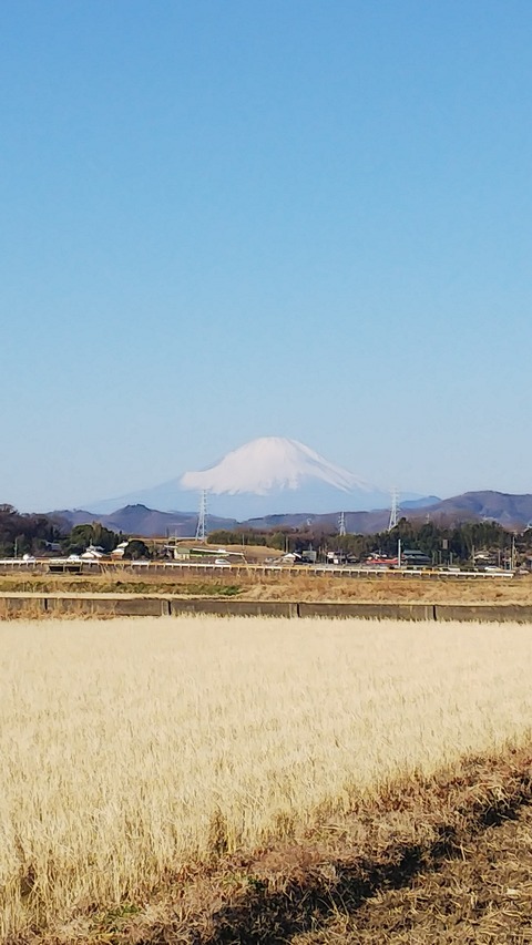 0129　富士山