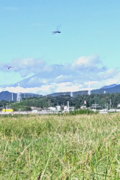 0914　富士山