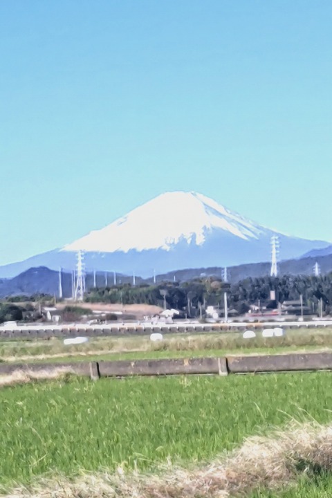 1125　富士山