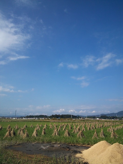 1028　伊勢原朝景色