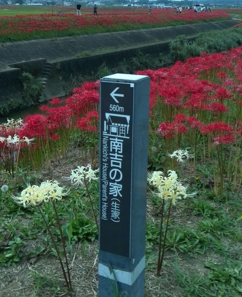 IMG_20150921_120855-1