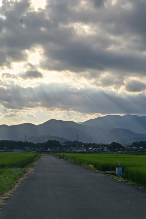 0731 天使のはしご