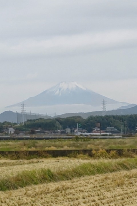 1113 富士山