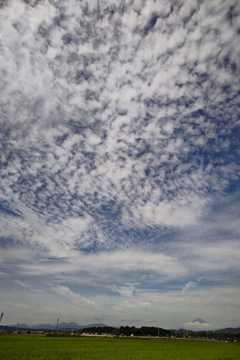 0731 うろこ雲