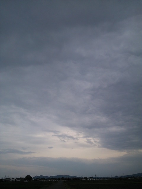 0424　伊勢原朝景色