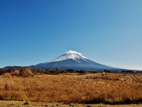 朝霧高原からのふじさん