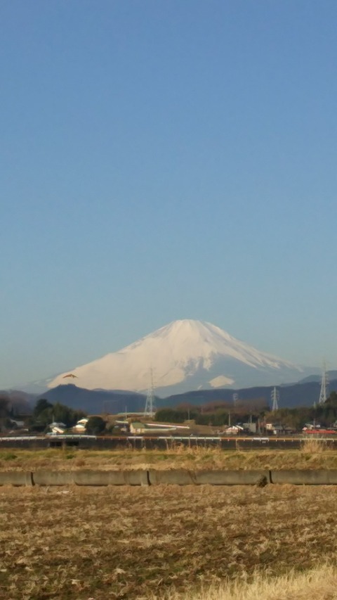 0126 富士山