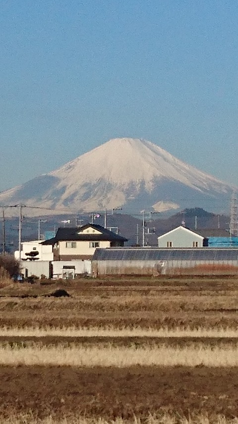 0126 富士山