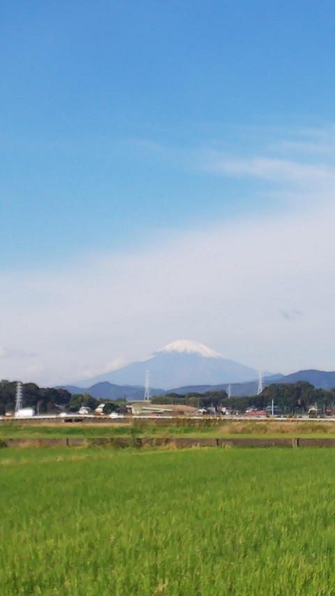 1031　富士山