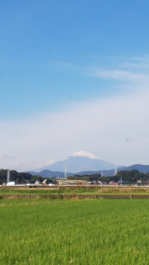 1031 富士山