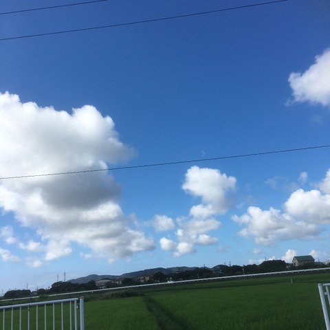今日の空③