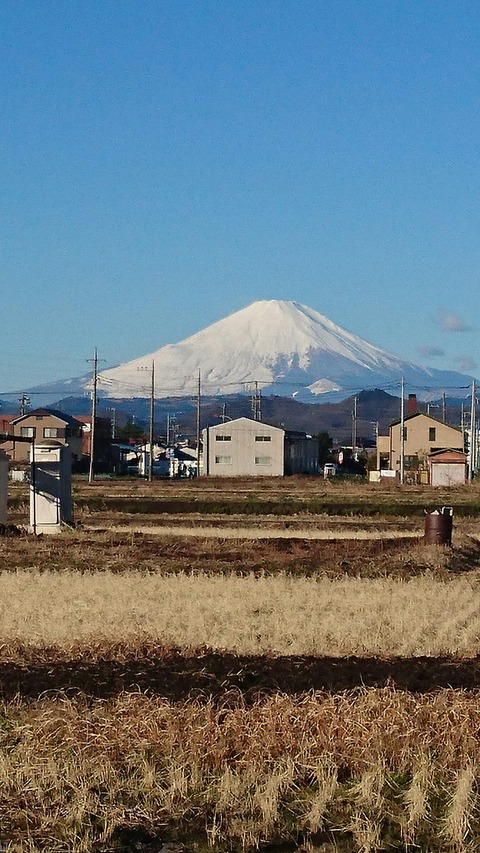 1228　富士山