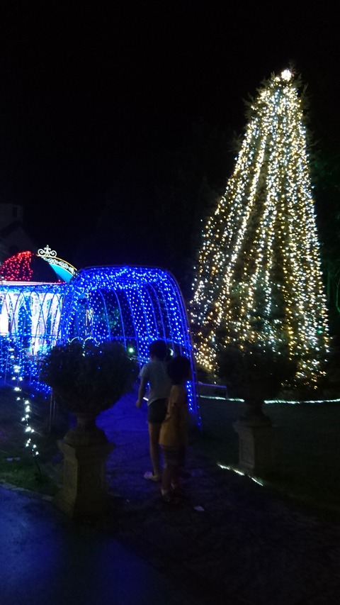 0830　イルミネーション