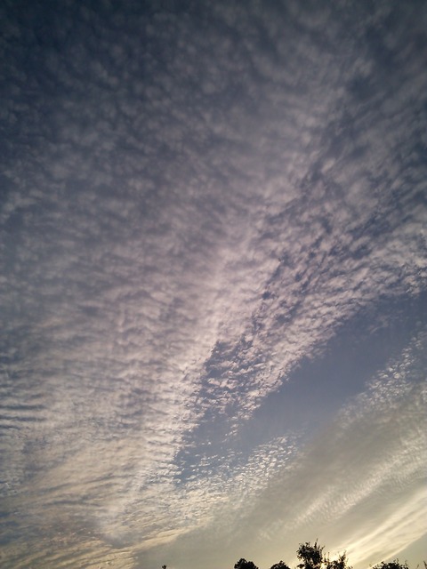 0627　伊勢原夕方うろこ雲