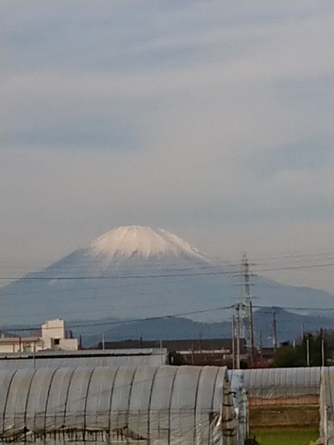 1126　富士山