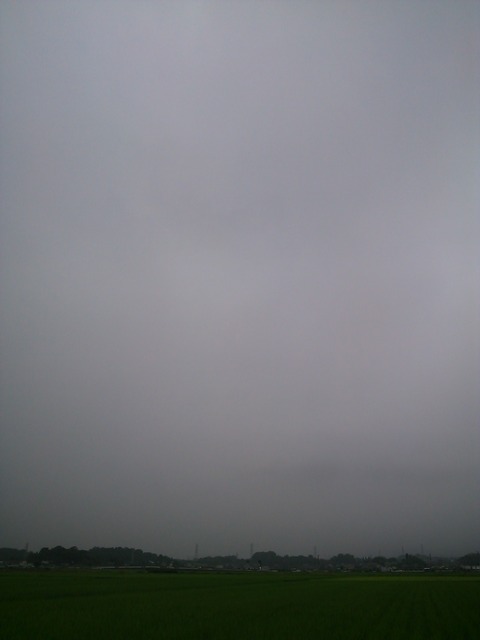 0725　伊勢原朝景色