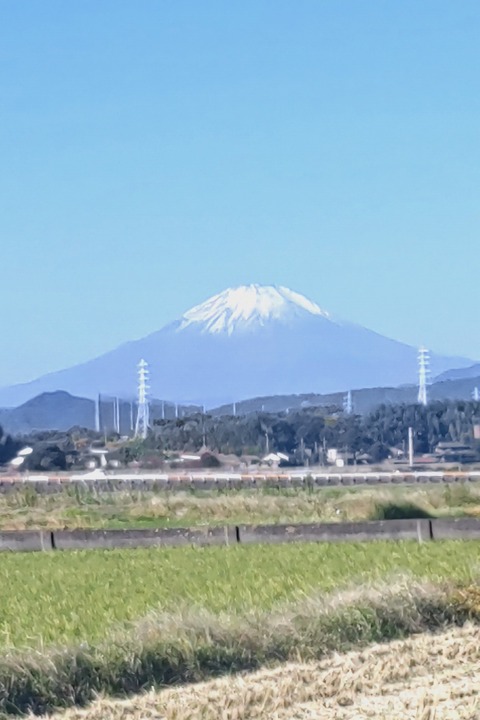 1114 富士山