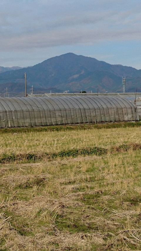 1130 大山