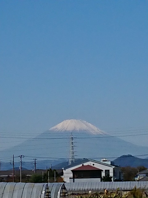 1029　富士山