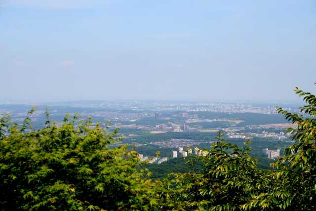 高尾山山景