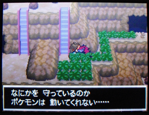 ポケモンbw2 バグ ゾロアークが動かなくなる症状が発生することが判明 Sylph Watch