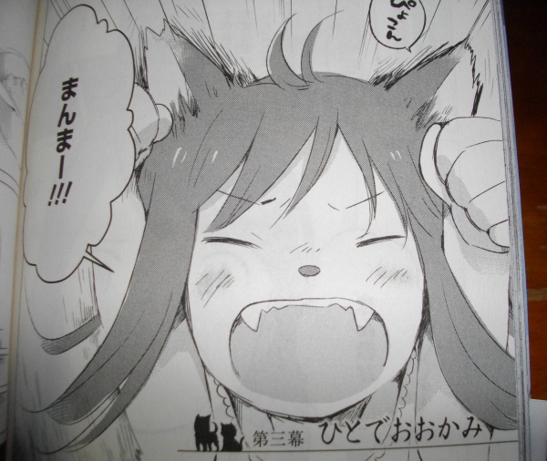 コミックス おおかみこどもの雨と雪 読んでみました Sylph Watch