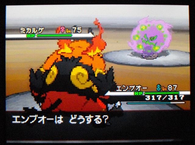 ポケモンbw シロナはやっぱり強いね 追記 9 26 カトレアの別荘 Sylph Watch ポケモンbw シロナはやっぱり強いね 追記 9 26 カトレアの別荘 Sylph Watch