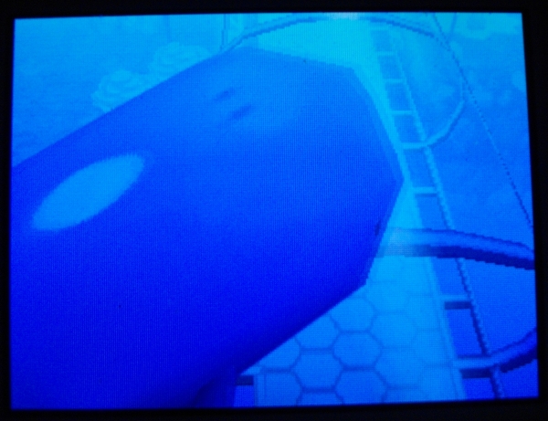 ポケモンbw2 攻略本買ってみた マリンチューブのメダル ホエルオーウォッチ の条件がやっと判明 Sylph Watch