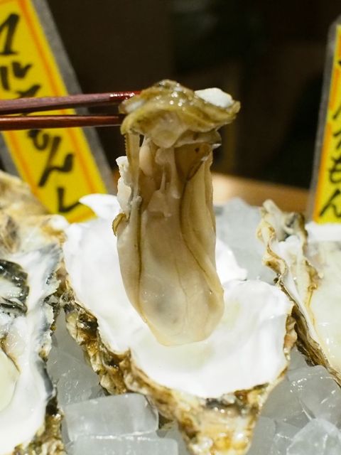 PB170386.JPG