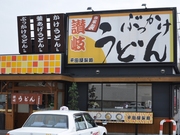 1731b348.jpg