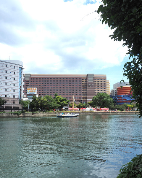 P8145958