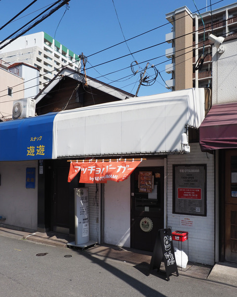 P8133321