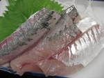 560e56e7.jpg