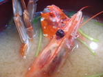 58b0c027.jpg