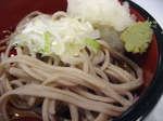99b026f3.jpg
