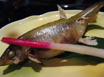 ab1f89e1.jpg