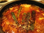 bd924873.jpg