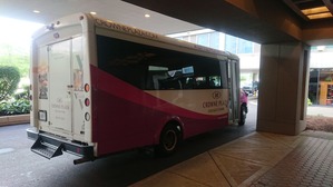 2019tns650Sun