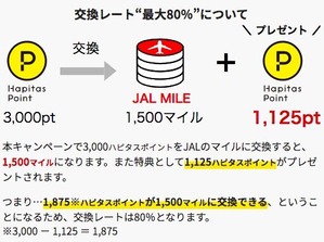 202107_hapitas_JALsummer_02